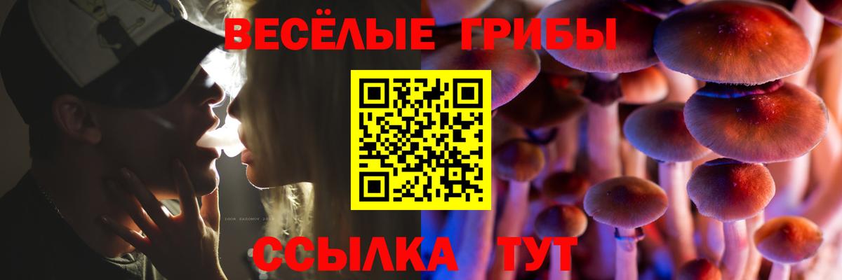 Галлюциногенные грибы MAGIC MUSHROOMS  Вход с VPN  Псилоцибиновые грибы мицелий  Коряжма 